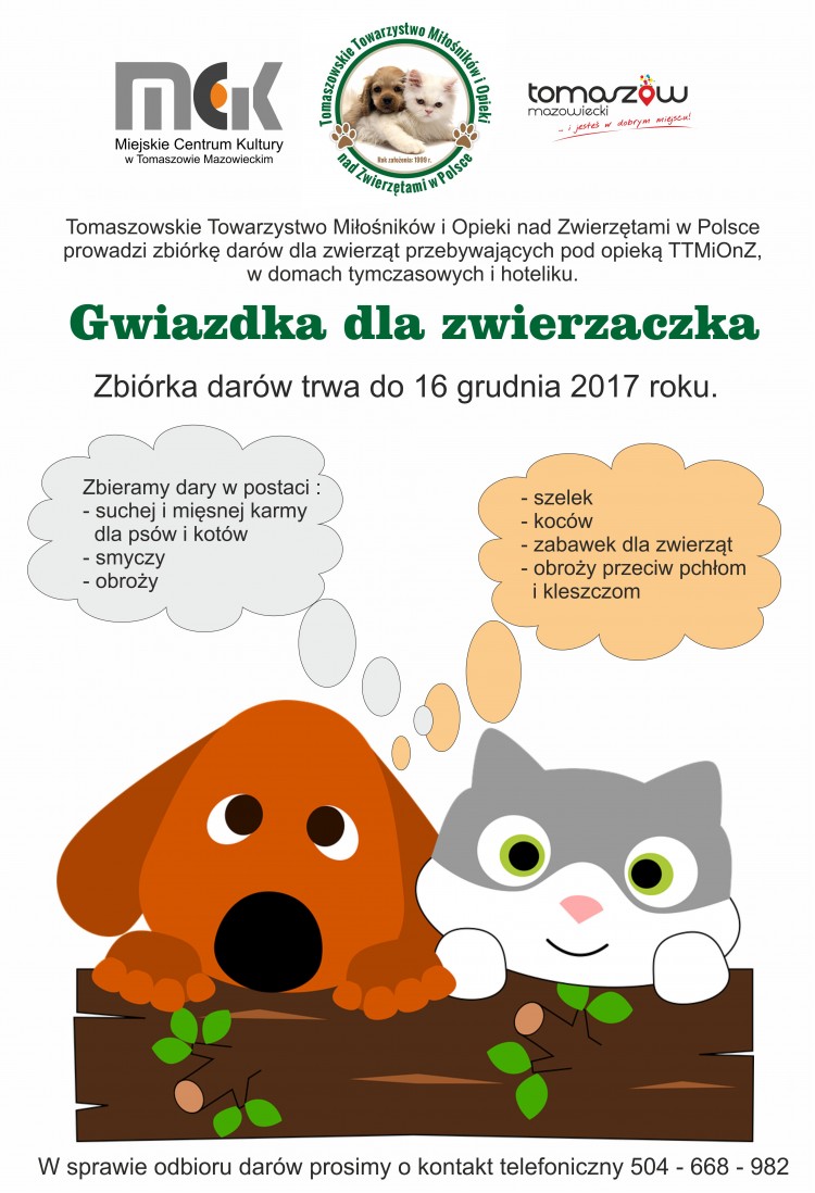 PLAKAT ttmionzwp