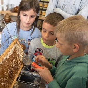 2cee0e58-8038-405b-902f-290bda80a939