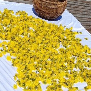 344300448_779579196895490_6458805294591521222_n