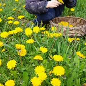 344307312_2557065691139631_7029318338248889716_n