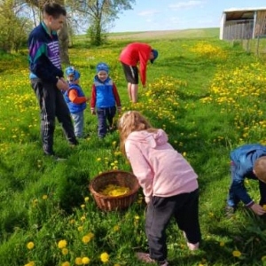 344779351_198949539633938_4231113422129398897_n