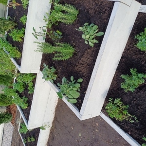 Zdjęcie 10 Nowy Jasień ISnP2023