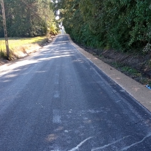 Zdjęcie 4 Luboszewy