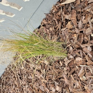 Zdjęcie 7 Nowy Jasień ISnP2023