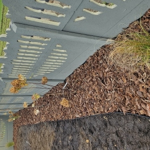 Zdjęcie 8 Nowy Jasień ISnP2023