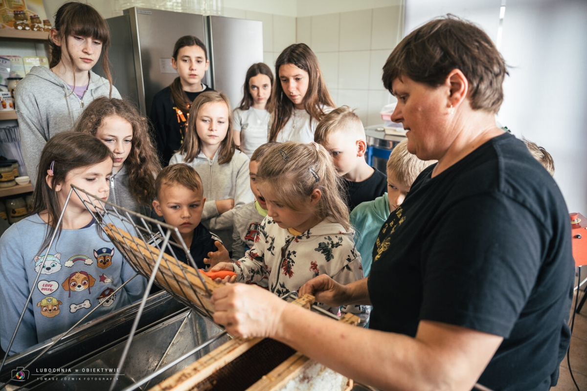 0c066ff3-db05-44c9-9515-0375b5a5f333