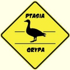 ptasia-grypa.jpg