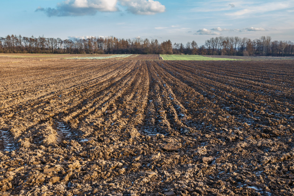 r76qn4qg2v3pl8yo_r0_940