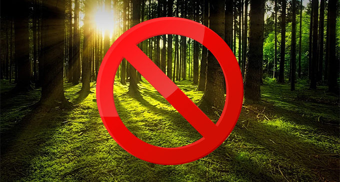 zakaz-wstepu-do-lasu-680x365_c