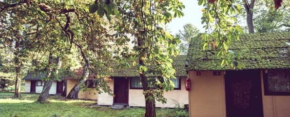 120877236_805404310219760_5587578858171584405_n